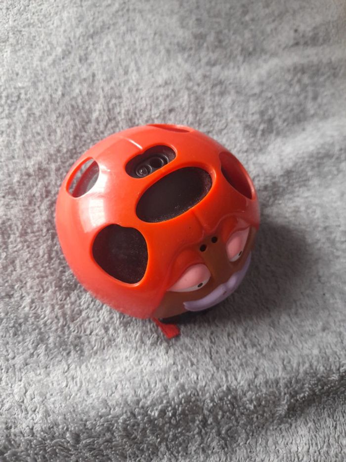 Boppin bugz coccinelle