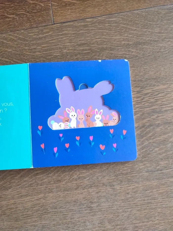 Livre qui se cache derrière maman - photo numéro 14