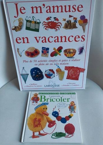 Lot de 2 livres d'activités