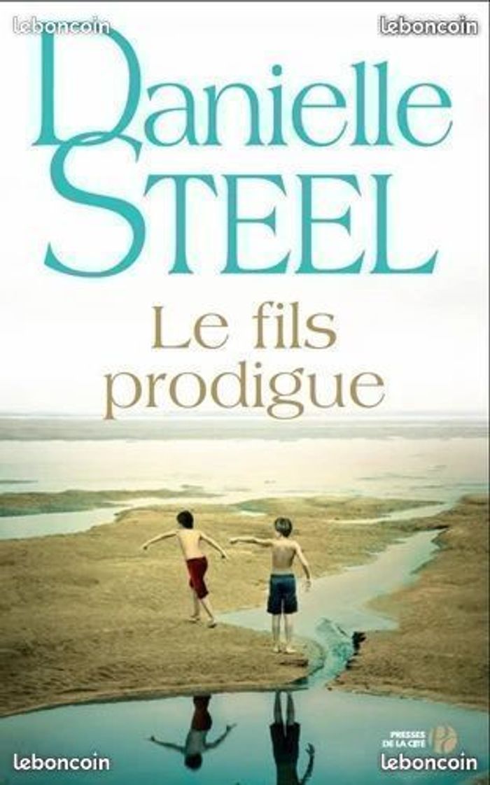 Livre Le Fils prodigue – Danielle Steel - grand format (roman broché)
