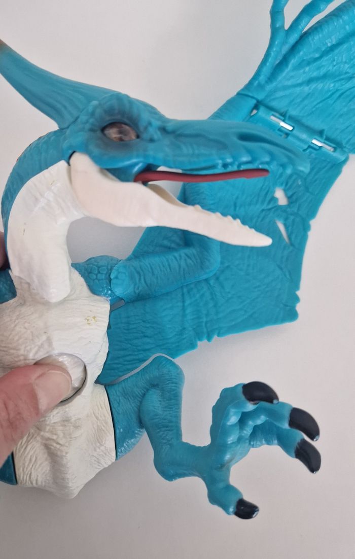 Dino pterodactyl - photo numéro 4