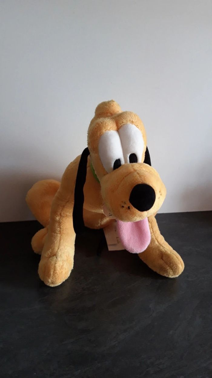 Pluto - photo numéro 2