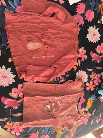 Lot de deux tee shirts lapin