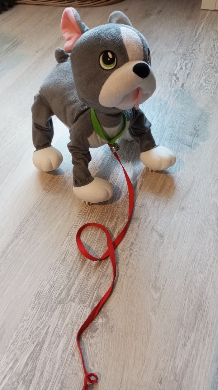 Chien Les Toufous - photo numéro 5