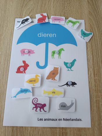 Montessori les animaux en Néerlandais