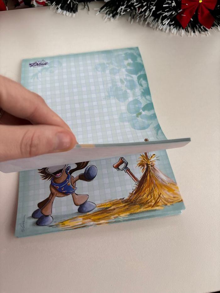 Fin de bloc diddl A5 - galupy - ancienne collection - vintage - années 2000 - photo numéro 3