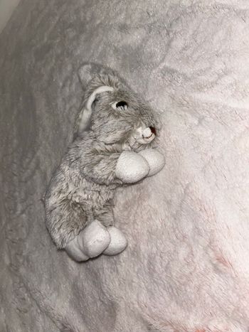 Doudou / peluche adorable petit lapin 