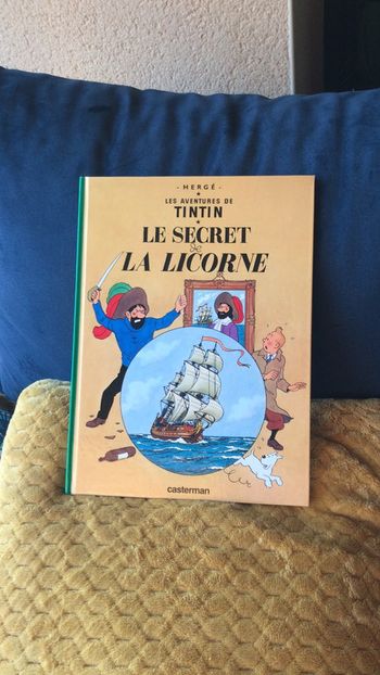 Livre tintin le secret de la licorne