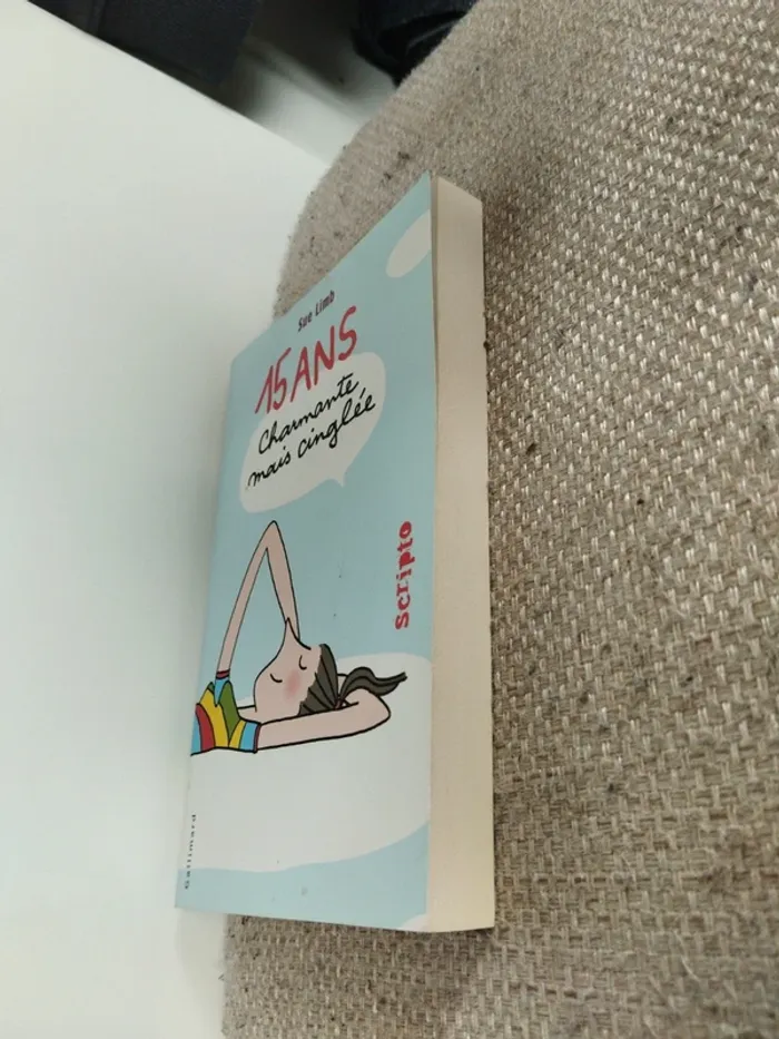 Livres 15 ans charmante mais cinglé - photo numéro 3