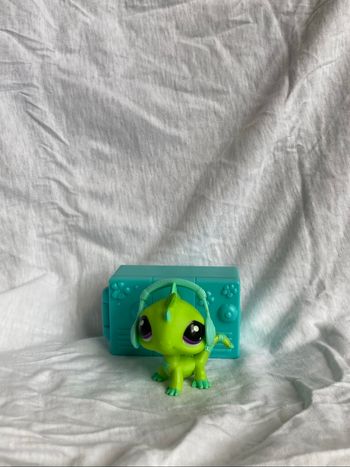 lps iguane