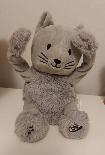 Chat coucou oscar le chat