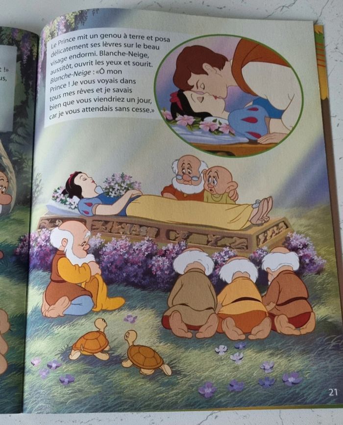 Blanche Neige Et Les Sept Nains - photo numéro 6