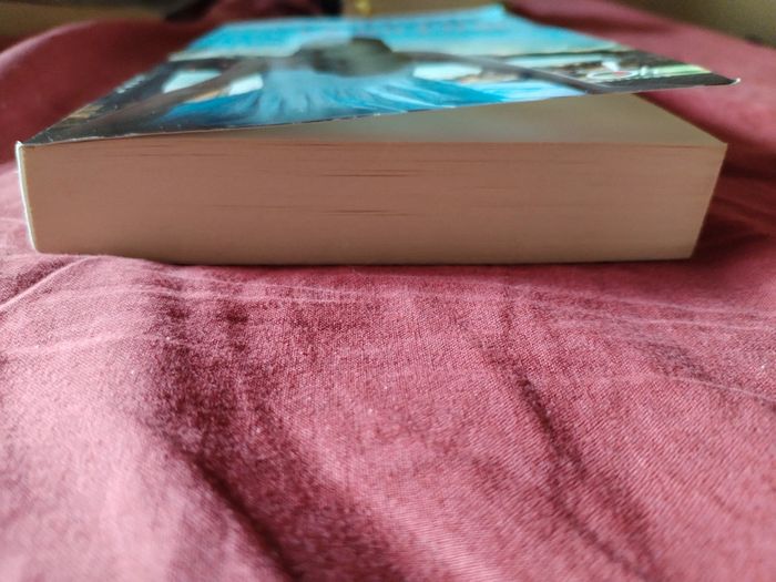 Livre là où j'irai gayle forman - photo numéro 2