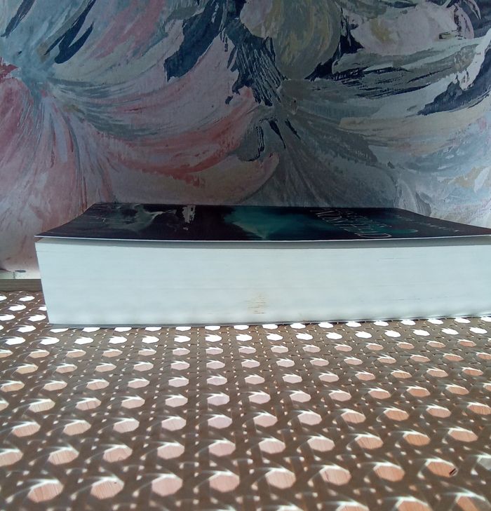 Les étoiles de Noss Head - photo numéro 3