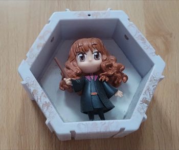 Poods hermione