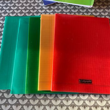 Lot de cahiers polypro 96 pages grands carreaux marges