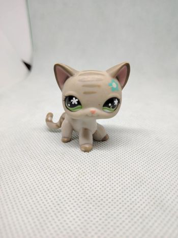 Petshop Littlest petshop chat européen #483