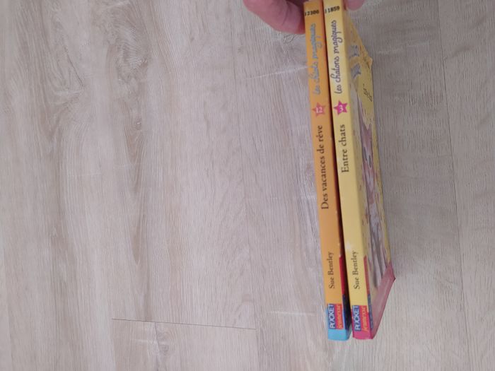 Livres chiots et chatons magiques - photo numéro 6