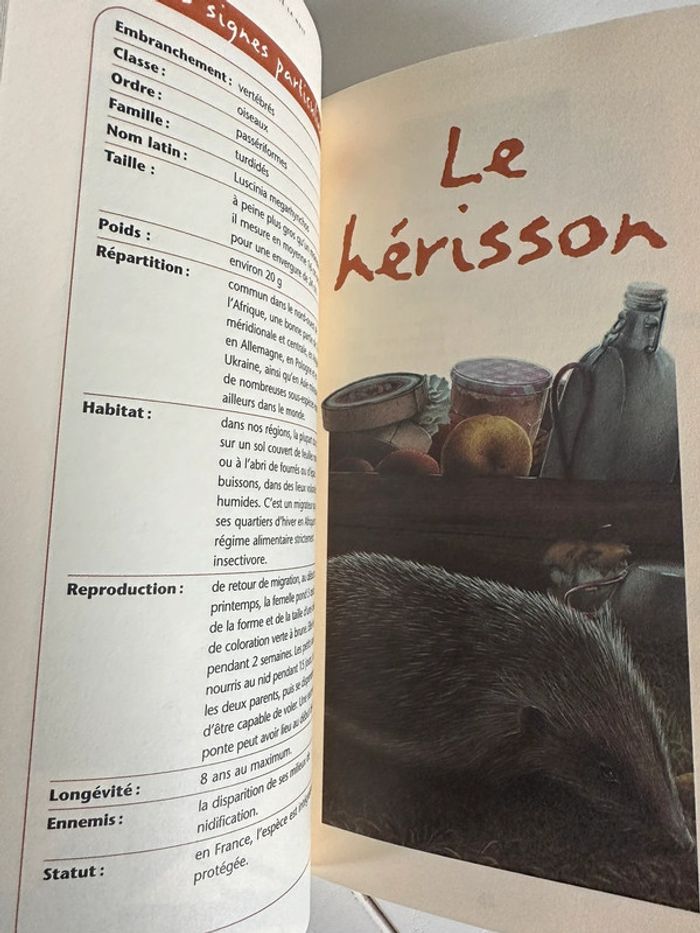 Livre Animaux de la nuit - photo numéro 3