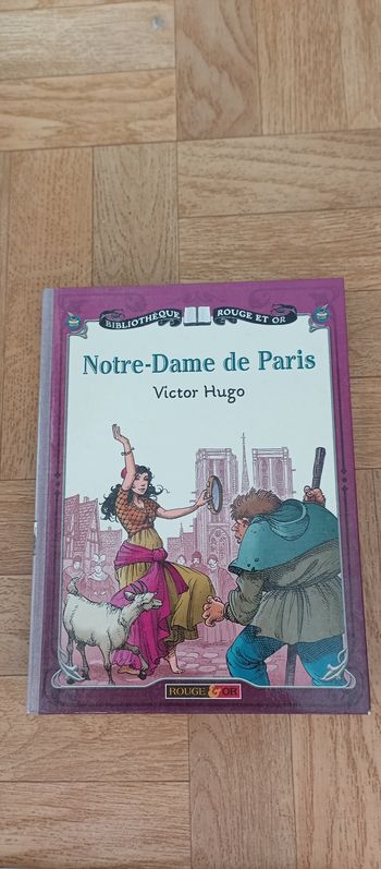 Notre-Dame de Paris bibliothèque rouge et or neuf