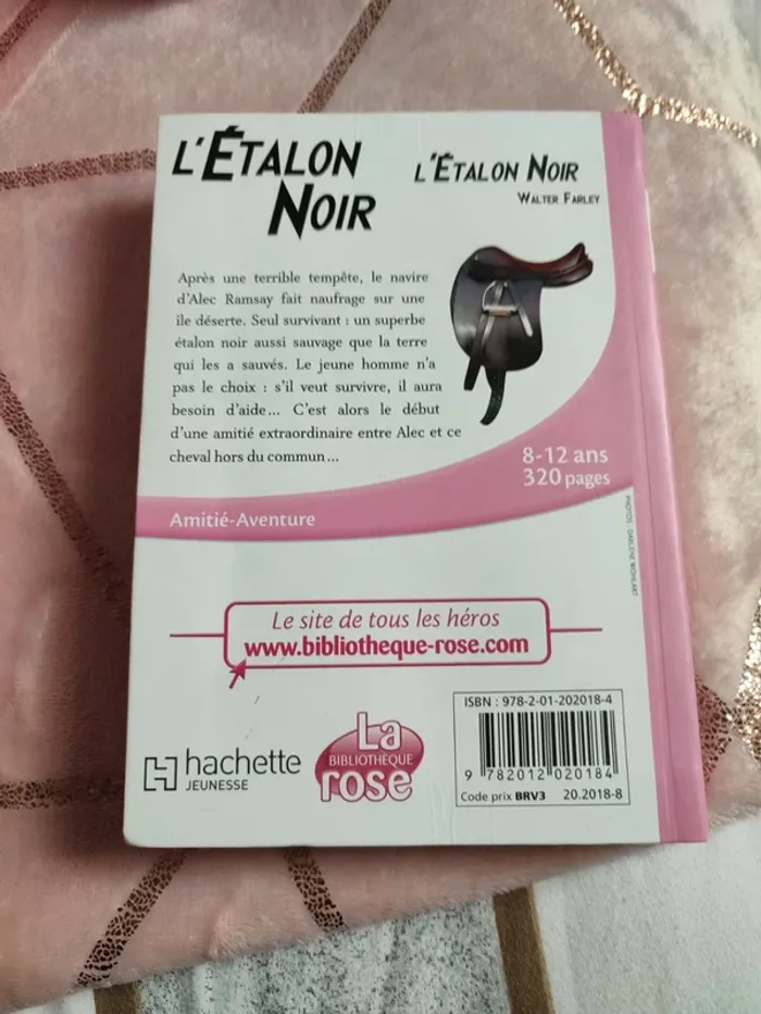 L étalon noir - photo numéro 2