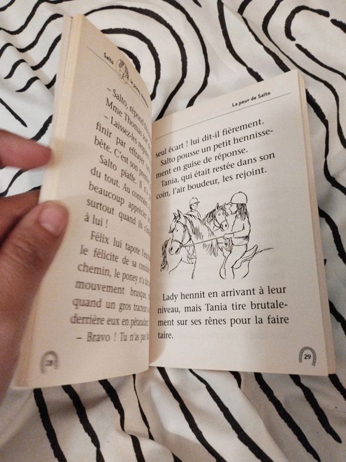 Livre Salto le poney champion - photo numéro 5