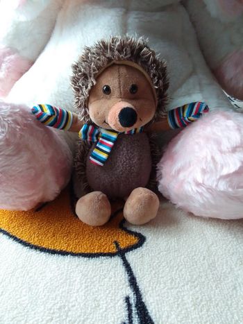 Peluche hérisson