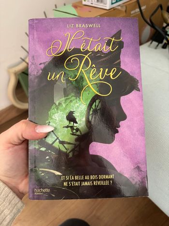Il était un rêve Disney Liz braswell