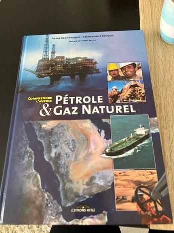 Comprendre l’avenir pétrole et gaz naturel