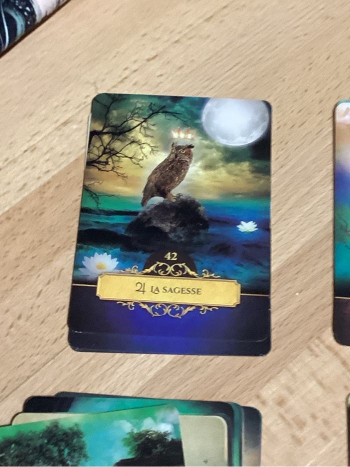 Oracle de Belline avec livret d’interprétation et sa trousse de protection - photo numéro 5