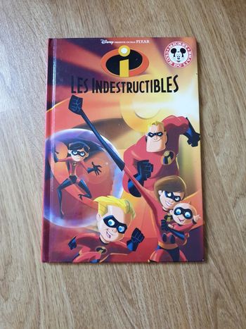 Livre les indestructibles