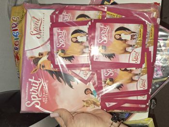 Panini pack spirit 