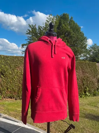 Pull à capuche hollister