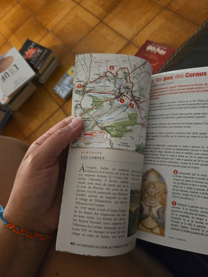 Au confluents de la Seine de l'Yonne - photo numéro 6