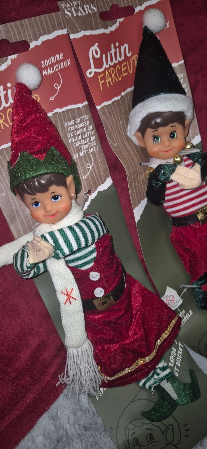 Duo lutins farceurs - photo numéro 3