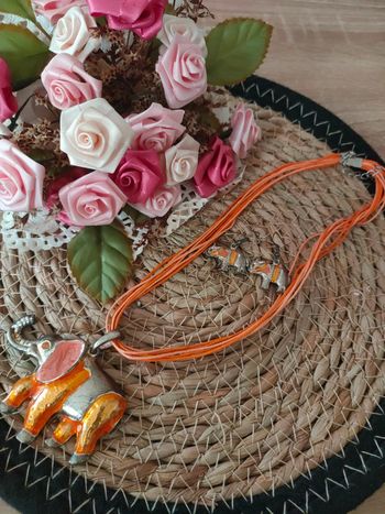 🌿Parure éléphant orange et argenté🌿