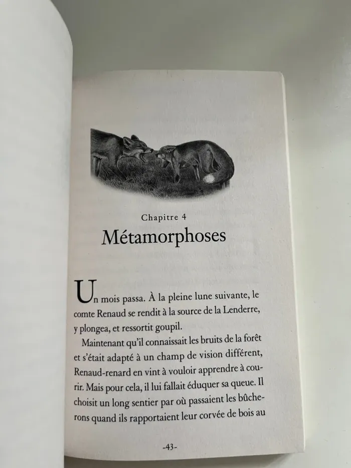 Le renard de Morlange - photo numéro 4