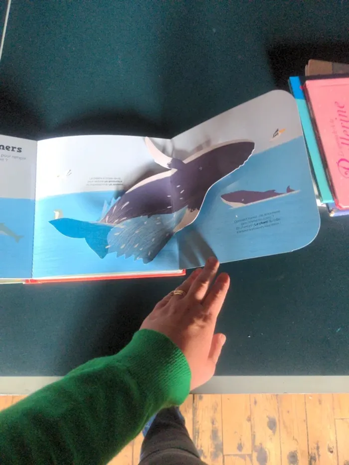 Kididoc Dauphins et baleines - photo numéro 2