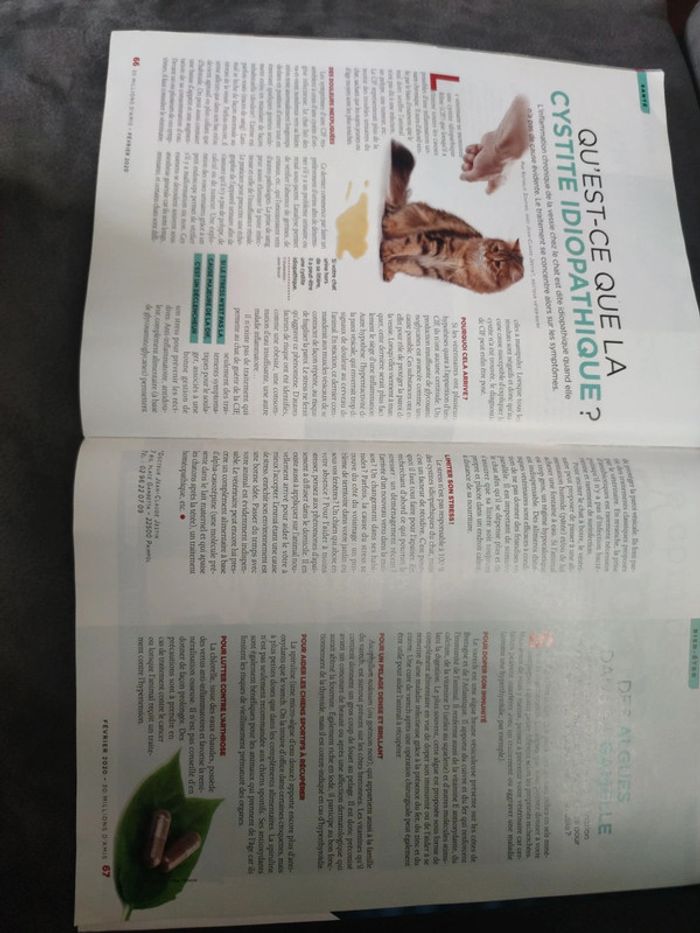 Magazine 30 millions d'amis numéro 381 février 2020 - photo numéro 14