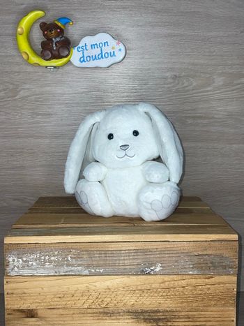 GP130 doudou lapin 🐰 Gipsy