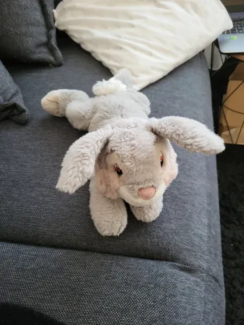 Peluche Panpan.