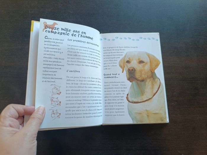 Livre MON... CHIEN - photo numéro 4