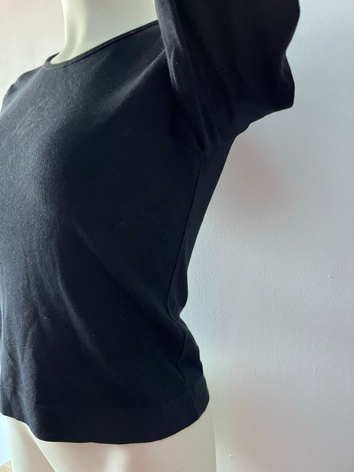 Haut diplodocus - photo numéro 5