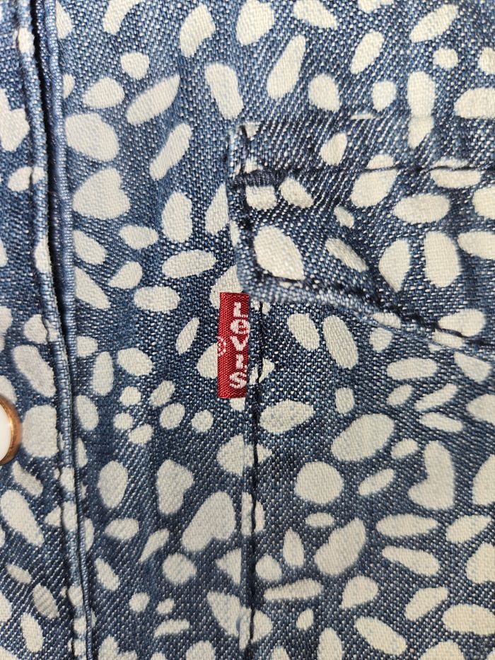 Robe levis - photo numéro 3