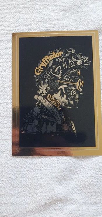 Carte HARRY POTTER