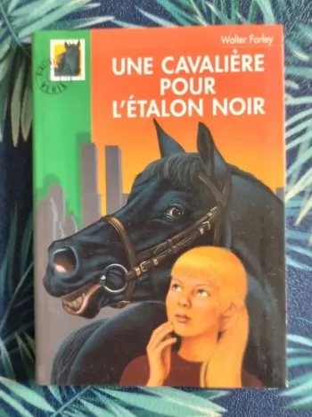 Livre Une cavalière pour l'étalon noir