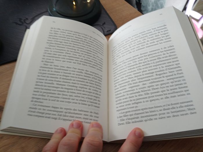 LIVRE LES BELLES DE HALIMUNDA DE EKA KURNIAWAN - photo numéro 3