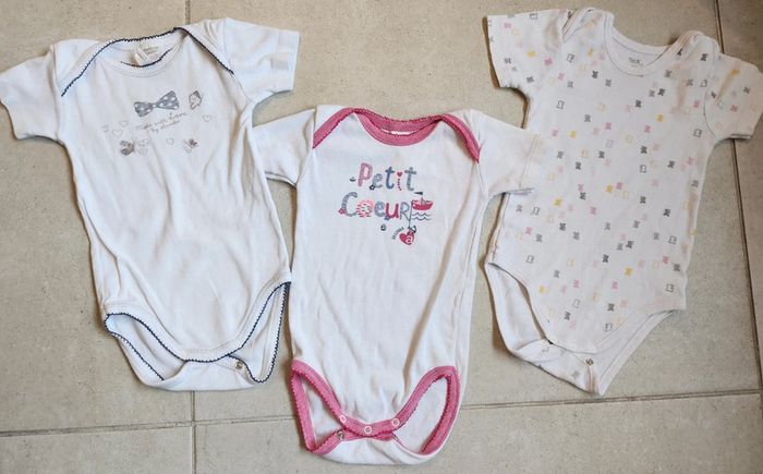 Lot 3 bodies
