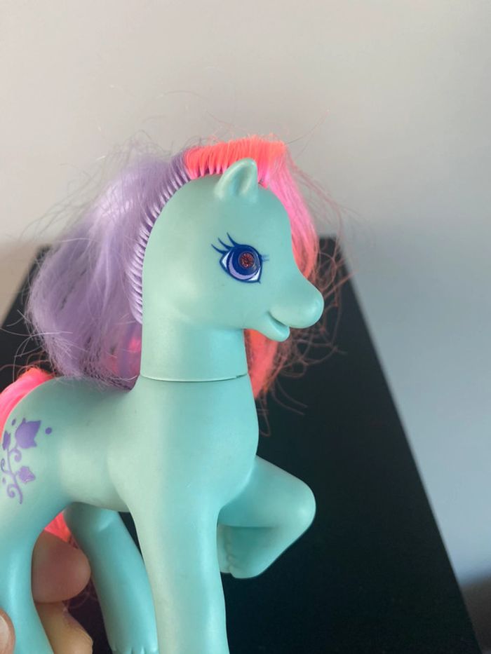 Pony ivy - photo numéro 5