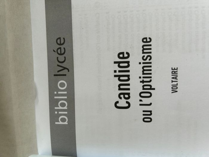 Candide ou l'optimisme - photo numéro 6